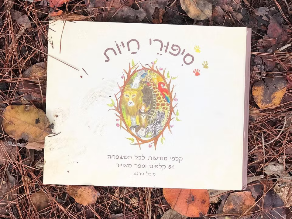 אם יוצאים...