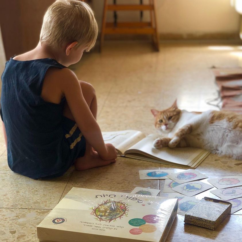 מה לעשות כשהילד ׳מאבד את זה׳ ?ֿ